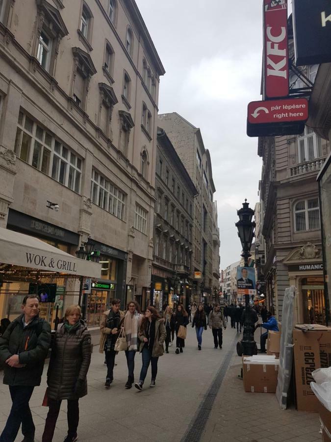 Choosy City Flat Budapeste Exterior foto